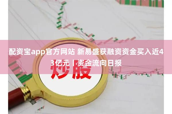 配资宝app官方网站 新易盛获融资资金买入近43亿元丨资金流向日报